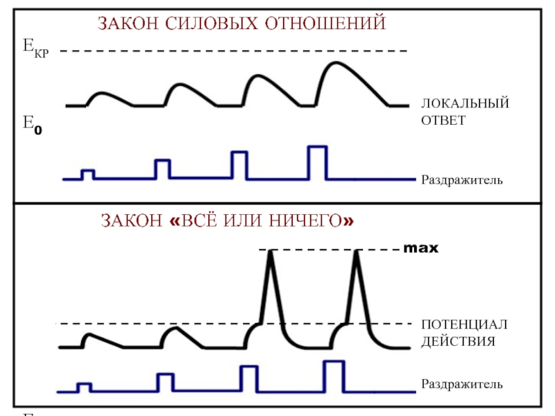 Все или ничего схема