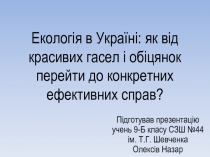 Екологія в Україні: як від красивих гасел і обіцянок перейти до конкретних