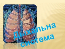 Дыхальна
система