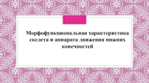 Морфофункциональная характеристика скелета и аппарата движения нижних
