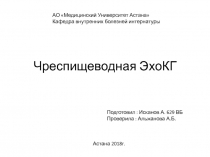 Чреспищеводная ЭхоКГ