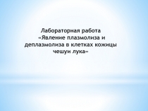 Лабораторная работа Явление плазмолиза и деплазмолиза в клетках кожицы чешуи