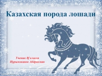 Ученик 8 f класса Нурымжанов Абдрахман
Казахская порода лошади