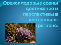 Орехоплодовые сосны достижения и перспективы в центрально-черноземном регионе