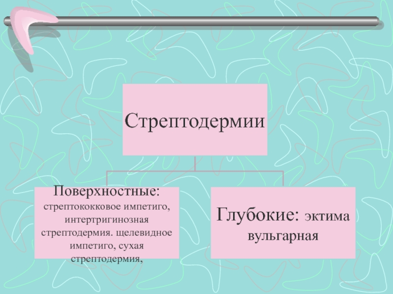 Лечение стрептодермии. Стрептококковое контагиозное импетиго. Стрептодермия импетиго. Поверхностные стрептодермии.