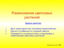 Размножение цветковых растений