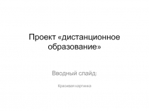 Проект дистанционное образование