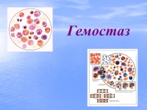 Гемостаз