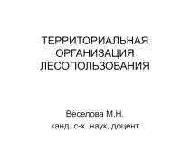 ТЕРРИТОРИАЛЬНАЯ ОРГАНИЗАЦИЯ ЛЕСОПОЛЬЗОВАНИЯ