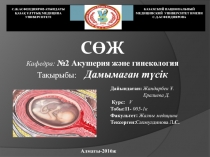 Дайындаған: Жандарбек Ұ.
Ералиева Д.
К урс : V
Тобы :11- 005-1к
Факультет :