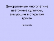 Декоративные многолетние цветочные культуры, зимующие в открытом грунте
