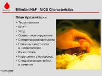 План презентации