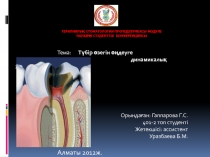 Тема: Түбір өзегін өңдеуге арналған жаңа динамикалық жүйелер
Орындаған:
