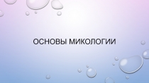 Основы микологии