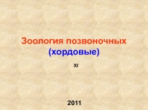 Зоология позвоночных ( хордовые )