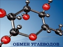 обмен углеводов
