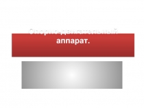 Опорно-двигательный аппарат