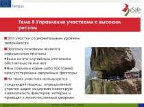 Тема 8 Управление участками с высоким риском