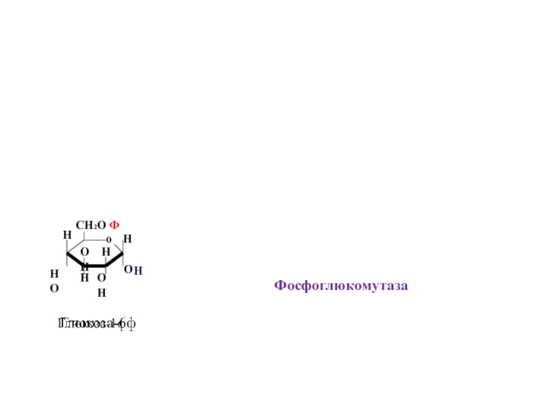 Найдите н и сн если. Фосфоглюкомутаза. Фосфоглюкомутаза биохимия. Фосфоглюкомутаза шифр. Фосфоглюкомутаза класс фермента.