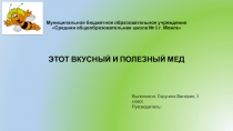 Муниципальное бюджетное образовательное учреждение Средняя общеобразовательная