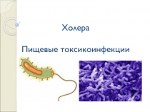 Холера Пищевые токсикоинфекции