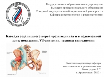 Блокада седалищного нерва чрезягодичная и в подколенной зоне: показания,