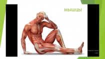 мышцы