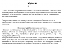 Мутации
Основа генетики вот уже более полувека – мутационный анализ. Генетики