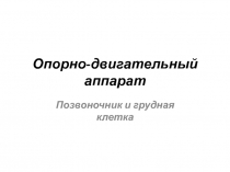 Опорно-двигательный аппарат