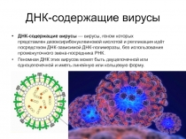 ДНК-содержащие вирусы