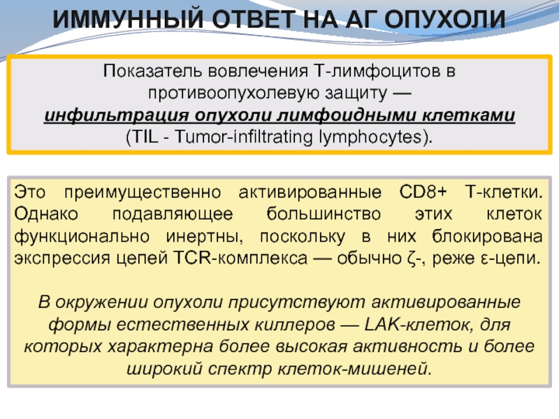 Противоопухолевый иммунитет презентация