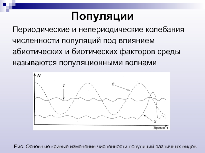 Колебания численности популяции. Периодические и непериодические колебания численности популяции. Колебательное изменение численности популяции. Типы колебания численности популяции. Колебания численности особей в популяции.