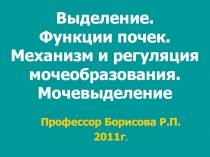 Выделение. Функции почек. Механизм и регуляция мочеобразования. Мочевыделение