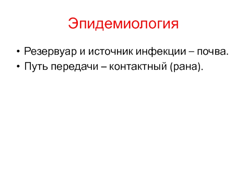 Инфекции почвы. Почва источник инфекции.