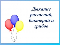 Дыхание растений, бактерий и грибов