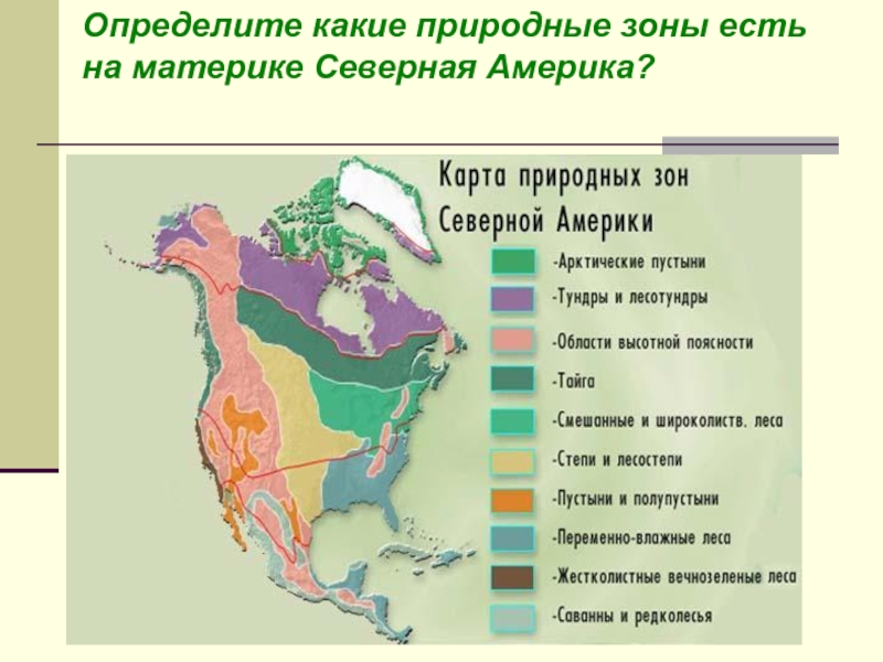 Характеристика природных зон америки