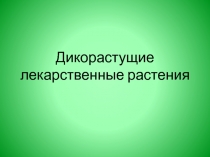 Дикорастущие лекарственные растения