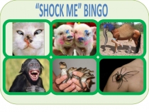 “ SHOCK ME” BINGO