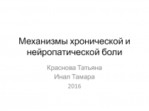 Механизмы хронической и нейропатической боли