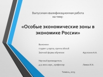 Выпускная квалификационная работа на тему: Особые экономические зоны в