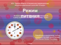 Режим питания
КОУ Омской области Специальная