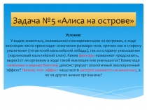 Задача №5 Алиса на острове
