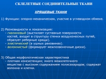 ХРЯЩЕВЫЕ ТКАНИ
1) Функции: опорно-механическая, участие в углеводном обмене.
2)