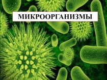 МИКРООРГАНИЗМЫ