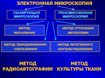 ЭЛЕКТРОННАЯ МИКРОСКОПИЯ
ТРАНСМИССИОННАЯ МИКРОСКОПИЯ
СКАНИРУЮЩАЯ