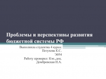 П роблемы и перспективы развития бюджетной системы РФ