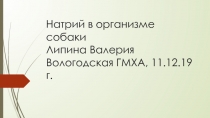 Натрий в организме собаки Липина Валерия Вологодская ГМХА, 11.12.19г