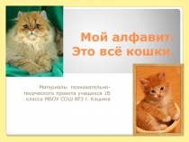 Мой алфавит. Это всё кошки