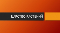 ЦАРСТВО РАСТЕНИЙ