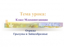 Отряды Грызуны и Зайцеобразные